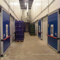 Sala de refrigeración de almacenamiento en frío de sandía de alta calidad
